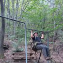 송이버벗 이미지