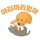 치킨마루포항원동점 네이버블로그