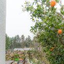 와산스테이인제주