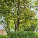 봉황역 3번출구앞 이미지