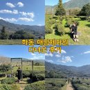 차밭이 주는 평화로움과 감성 가득한 하루 매암다원문화박물관 매암제다원 방문기