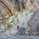 고래천국 이미지