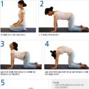 직장인요가 2 이미지