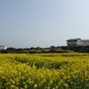 바람에스치운다 이미지