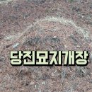 당진장묘