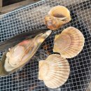 아도수산 이미지