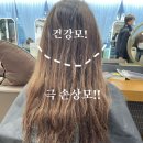 소담헤어 이미지