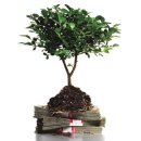 재무설계 이미지