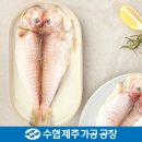 수협제주가공공장
