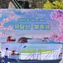 유동로 35 | 2023 목포 유달산 봄축제 후기, (feat. 먹거리, 체험, 공연프로그램, 주차정보)