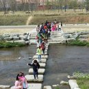 나래초교 이미지