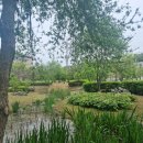 궁동생태공원 이미지