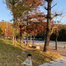 문구야놀자수지현암초점 | 용인 죽전 단풍놀이) 아기랑 단국대학교 단풍놀이, 가볍게 즐기기 좋아요! 주차요금 및 포토스팟 공개