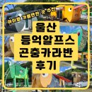 (주)오토테크 | 울산 등억알프스야영장 후기｜곤충카라반 체험 + 다자녀카드 50% 할인 예약팁 총정리