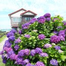 성산별장 이미지