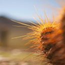 직장인을 위한 실무엑셀 이미지