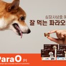 녹십자수의약품 이미지