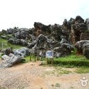 금월봉관광지 이미지