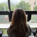 호수미용실 | 순천호수공원 미용실 ‘비슬로헤어‘ 모발 클리닉 후기