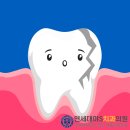연세대야S치과 이미지