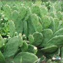 함께커농장 이미지