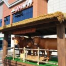 둔덕농협한우관 이미지