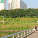 안양천 산책로 이미지