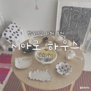 냉천초등학교 | [일산] 밤리단길 카페 추천 ‘시아로 하우스’ / 내돈내산 후기