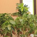 힐링몰(주) 이미지