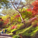 홍천시티투어 이미지