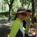 무네미길 이미지