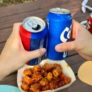 공주알밤닭강정 | [공주 동학사 맛집]동학사 계곡 물놀이와 '소니가 행복치킨' 알밤 닭강정 포장 후기