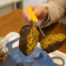 당하스위첸 이마트24 | 오시리아 카페 추천, 아기자기한 감성 부산 기장 카페 고영카페 | 기장 카페 추천 디저트 후기