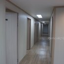 오피스나무 네이버블로그