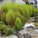 부리면사무소 이미지