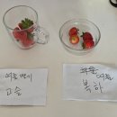 미하농장 네이버블로그
