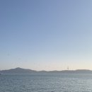 뜰채낙지전문점 이미지