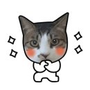 강진갤러리민박 이미지