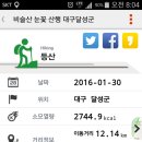 눈꽃사냥