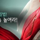 천하 태권도 이미지