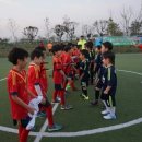 을숙도 미니축구장 네이버블로그