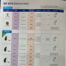 벨톤보청기 이미지