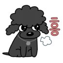 해피애견 미용실 이미지