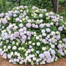 저구해안길 이미지