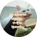 요술곰 동물원 이미지