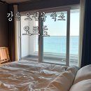 영진전기 | [내돈내산] 강릉 영진해변 오션뷰 찐 강추ㅠㅠ 오르도 403호 후기