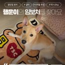 행운/남아/6개월 이미지
