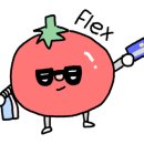 릴리안플라워 이미지