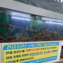 울릉도 독도새우 가격 저동 천금수산 내돈내산 찐후기