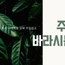꿈의교회 이미지